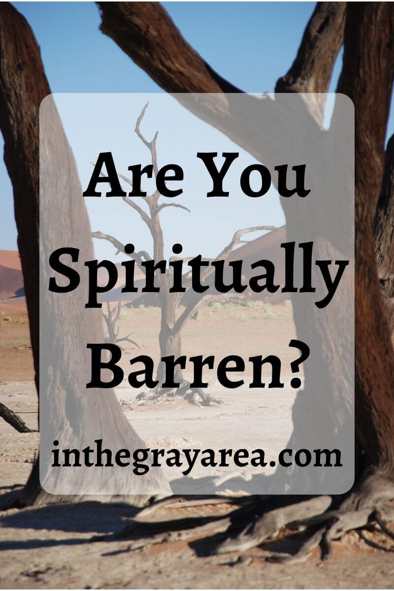 barren trees and title asking if you are spiritually barren