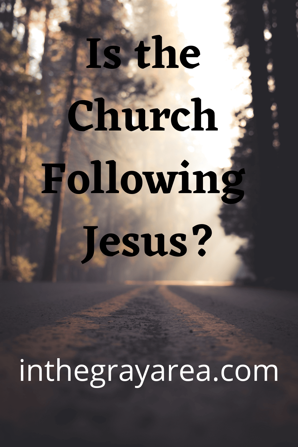 a highway through the woods with the question, is the church following Jesus